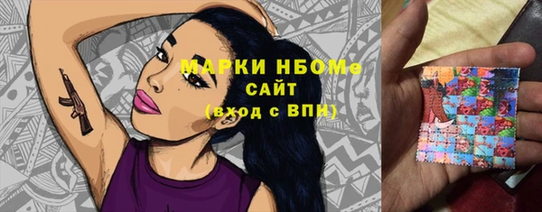 стаф Ладушкин