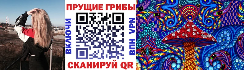Галлюциногенные грибы ЛСД  mega зеркало  Стародуб 